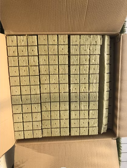 Hydroponic Rock Wool Cubes for Seeding Growing