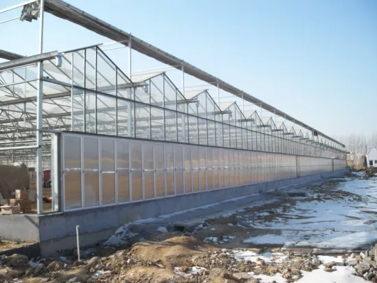 Venlo agrícola invernadero policarbonato/recubrimiento de vidrio para la venta