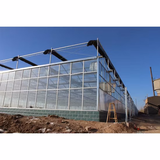 Venlo agrícola invernadero policarbonato/recubrimiento de vidrio para la venta