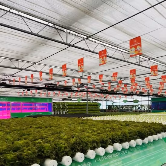 Materiales de construcción Four Seasons para cubiertas de invernaderos